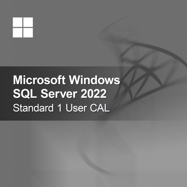 Microsoft SQL Server 2022 Standard 1 Utente CAL