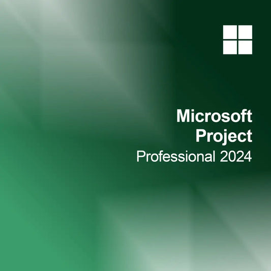 Microsoft Project Professionnel 2024