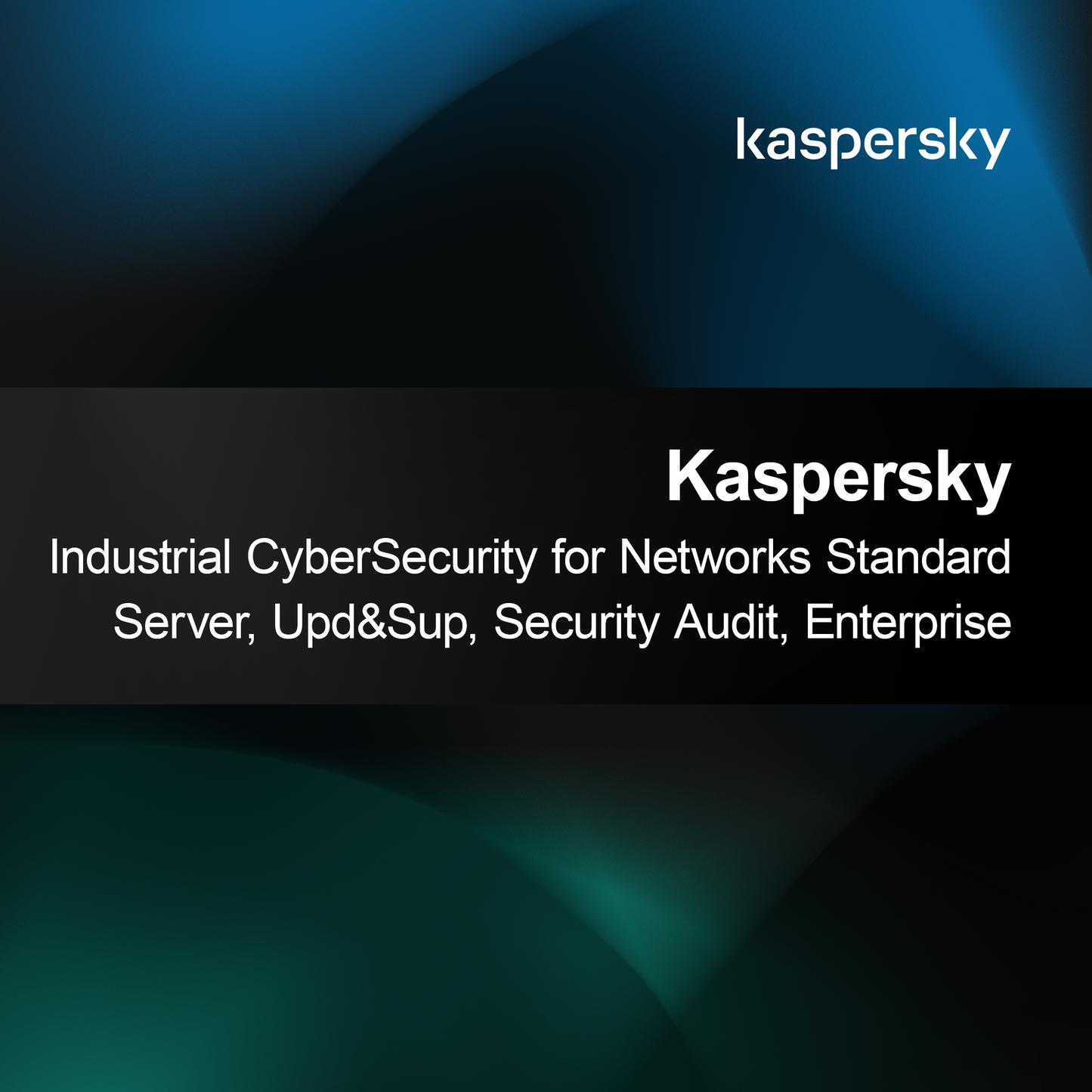 Kaspersky Endüstriyel Siber Güvenlik Ağları için Standart Sunucu, Güncelleme ve Destek, Güvenlik Denetimi, Kurumsal